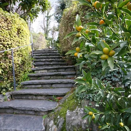 Collinetta Hotel Ascona