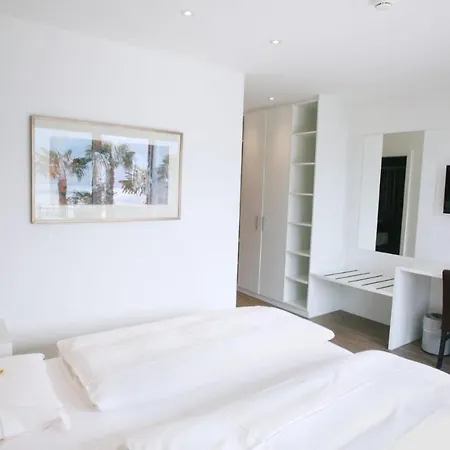 Collinetta Hotel Ascona