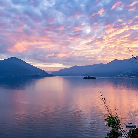 Collinetta Ascona